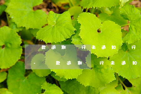 貸款逾期銀行未通知銀行有責(zé)任么-貸款逾期銀行未通知銀行有責(zé)任么
