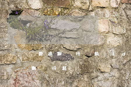貸款逾期銀行訴前調(diào)查(貸款逾期銀行起訴)