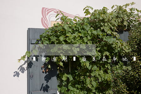 貸款逾期開庭是在本地嗎