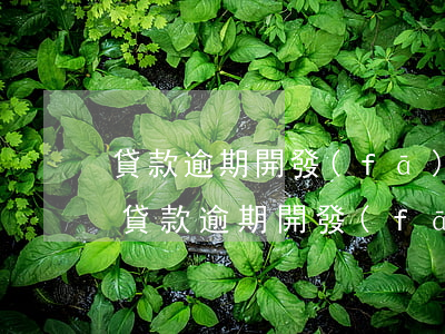 貸款逾期開發(fā)商解除合同要多久-貸款逾期開發(fā)商解除合同要多久才能解除