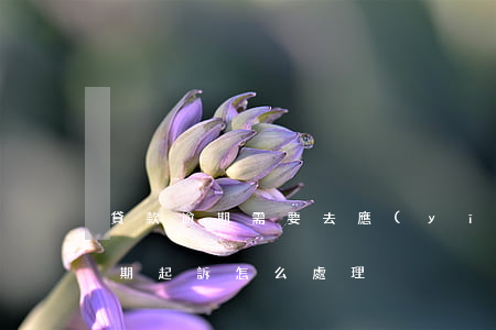 貸款逾期需要去應(yīng)訴嗎(貸款逾期起訴怎么處理)