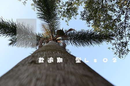 貸款逾期類型Ls02(貸款逾期分類)