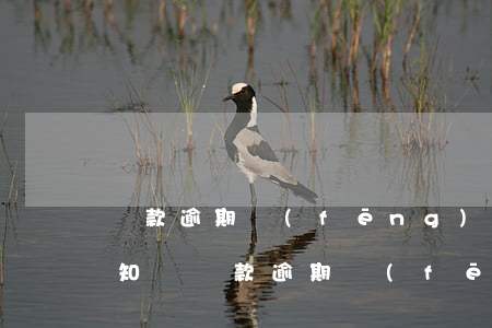 貸款逾期風(fēng)險(xiǎn)通知書(貸款逾期風(fēng)險(xiǎn)通知書)