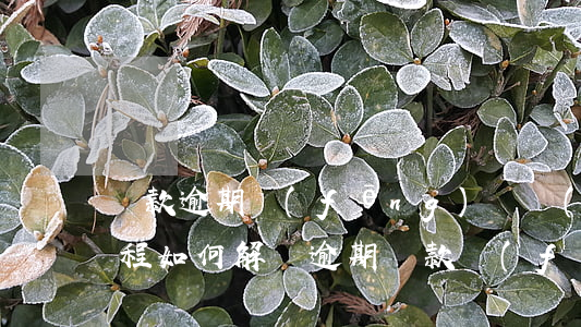 貸款逾期風(fēng)險預(yù)警流程(如何解決逾期貨款風(fēng)險問題)