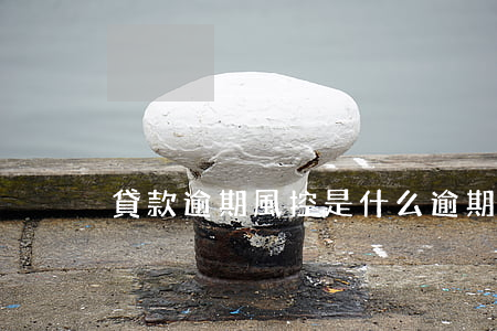 貸款逾期風控是什么(逾期貸款催收措施)