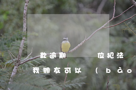 貸款逾期騷擾單位犯法嗎(貸款逾期多方騷擾我朋友可以報(bào)警嗎)