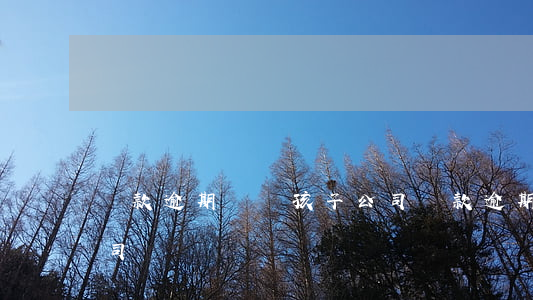 貸款逾期騷擾孩子公司(貸款逾期騷擾孩子公司)