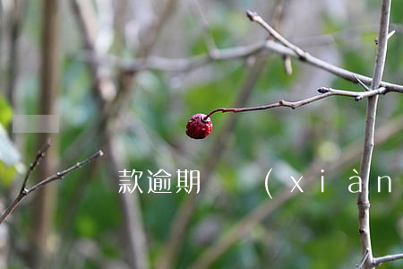 貸款逾期體現(xiàn)在