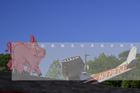 貸款逾期高的原因分析(貸款逾期限高)