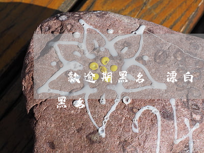 貸款逾期黑名單漂白(銀行貸款逾期多少天上黑名單)