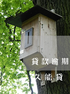 貸款逾期黑戶了多久能貸(貸款逾期黑戶了多久能貸)