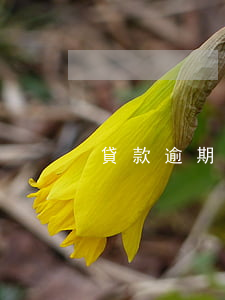 貸款逾期黑戶能貸款吧(有逾期就是黑戶嗎?)