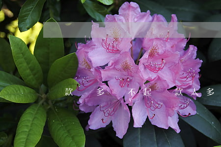 貸款過多還不起 貸款太多一輩子還不完怎么辦
