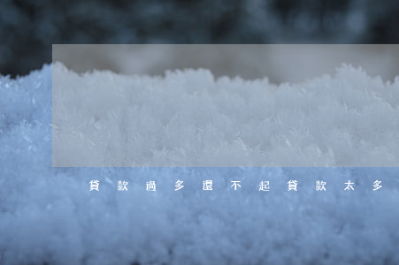 貸款過多還不起(貸款太多還不上會坐牢嗎)