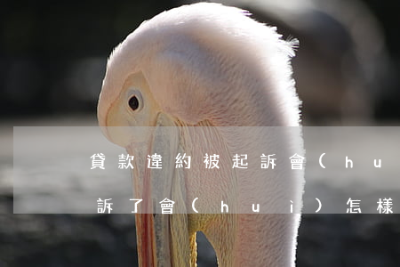 貸款違約被起訴會(huì)怎樣(貸款被起訴了會(huì)怎樣)