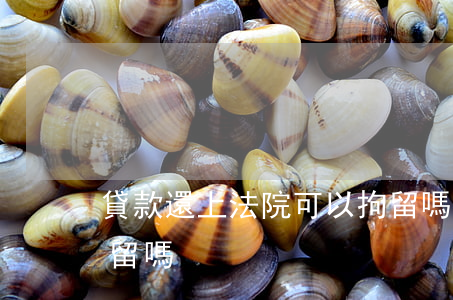 貸款還上法院可以拘留嗎(貸款還不上會被拘留嗎)