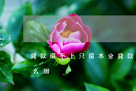 貸款還不上只還本金(貸款還不上只還本金怎么辦)