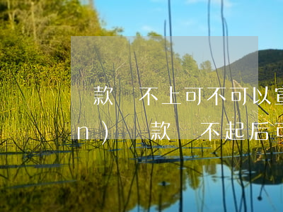 貸款還不上可不可以宣布個人破產(chǎn)（貸款還不起后可以開店掙錢嗎）