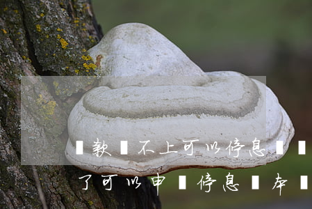 貸款還不上可以停息掛賬辦理嗎(貸款還不起了可以申請停息還本嗎)