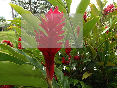 貸款還不上怎么辦(后果、對(duì)策)（貸款的還不起怎么辦）