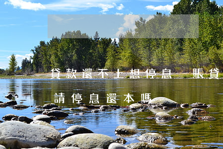 貸款還不上想停息掛賬(貸款還不起了可以申請停息還本嗎)