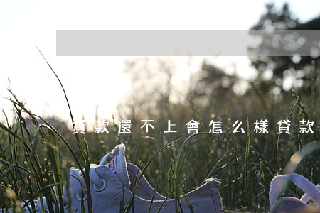 貸款還不上會怎么樣（貸款還不上會怎么樣）