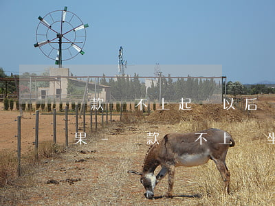貸款還不上起訴以后會是什么結(jié)果-貸款還不上會坐牢嗎