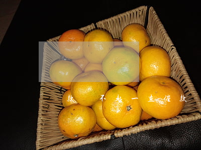 貸款還不起一直催款(貸款一直還不上)