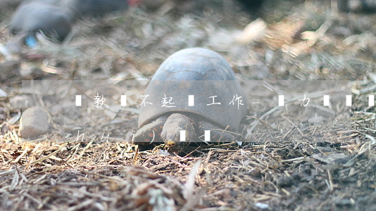 貸款還不起丟工作-無力償還貸款工作會(huì)丟嗎