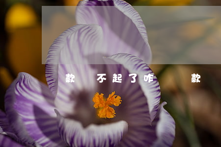 貸款還不起了咋辦（貸款還不起危機(jī)）