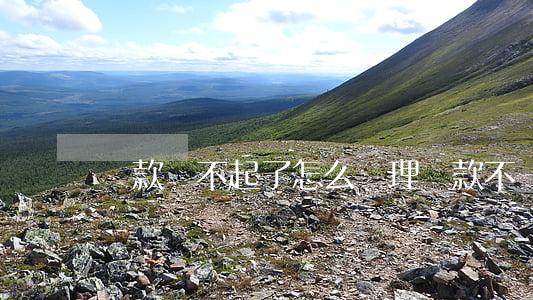 貸款還不起了怎么處理（貸款不還還不起怎么辦）