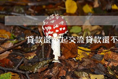 貸款還不起交流(貸款 還不起)