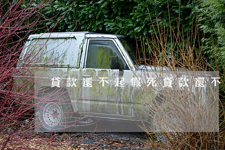 貸款還不起假死(貸款還不上想死了)