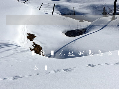 貸款還不起利息怎么辦理（貸款還不起利息怎么辦）