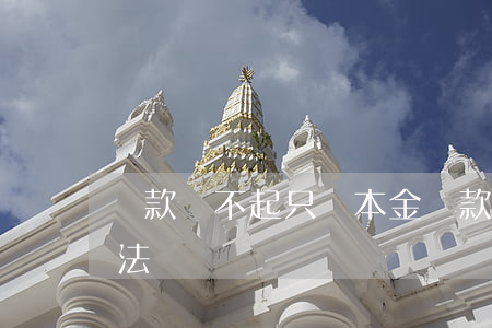 貸款還不起只還本金(貸款還不起只還本金合法嗎)