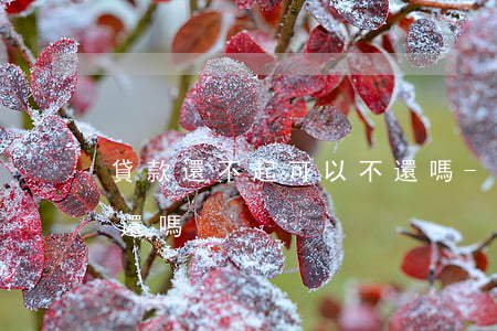 貸款還不起可以不還嗎-貸款還不起可以不還嗎