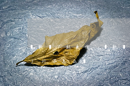 貸款還不起失信-貸款還不上被執(zhí)行了怎么辦