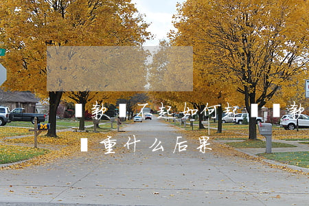 貸款還不起如何起訴(貸款還不起被起訴了最嚴重什么后果)