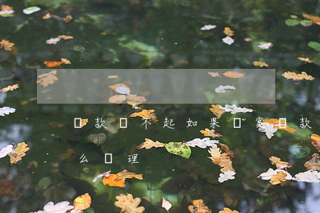 貸款還不起如果報案(貸款還不起如果報案怎么處理)