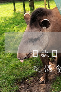 貸款還不起影響配偶嗎(如果銀行貸款還不上配偶受影響嗎?)