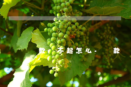貸款還不起怎么-貸款還不起怎么