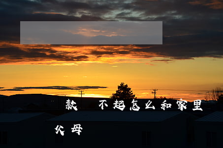 貸款還不起怎么和家里說（貸款還不起怎么和父母說）