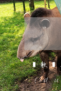 貸款還不起怎么起訴(貸款還不起怎么起訴對(duì)方)