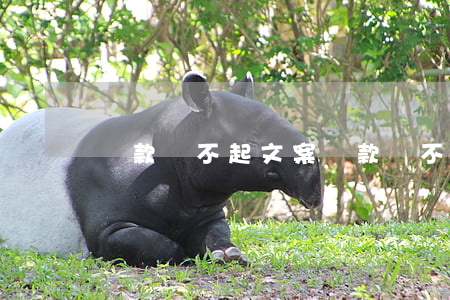 貸款還不起文案（貸款還不起文案）