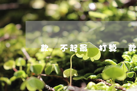 貸款還不起最壞打算 貸款還不上后果是什么