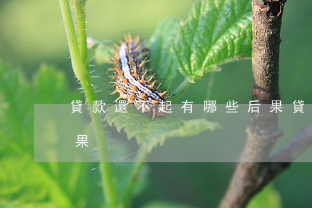 貸款還不起有哪些后果 貸款還不起有哪些后果