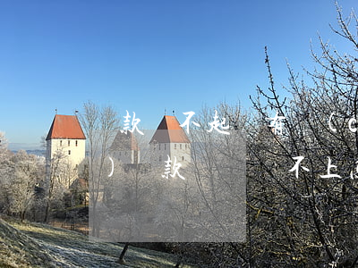 貸款還不起沒有財(cái)產(chǎn)(貸款沒錢還不上怎么辦)