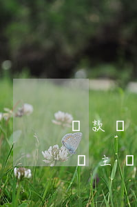 貸款還不起申請(qǐng)拍賣(還不上房貸主動(dòng)申請(qǐng)拍賣)