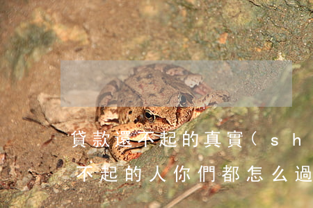 貸款還不起的真實(shí)案例-貸款還不起的人你們都怎么過(guò)來(lái)的