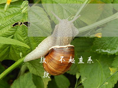 貸款還不起直系親屬(貸款還不起直系親屬能貸款嗎)
